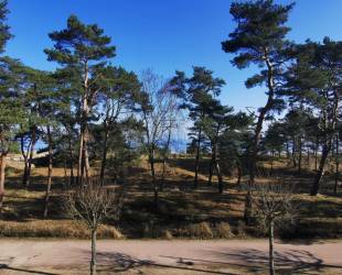 Ferienwohnung 'Seeblick' - Villa Adler