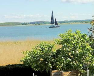 Fewo 2 - Ferienhaus Seglerblick