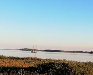 Fewo 2 - Ferienhaus Seglerblick