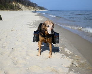 Pension 'Schwalbennest'