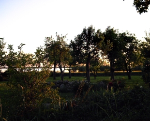 Ferienwohnung - Fam. Kaiser